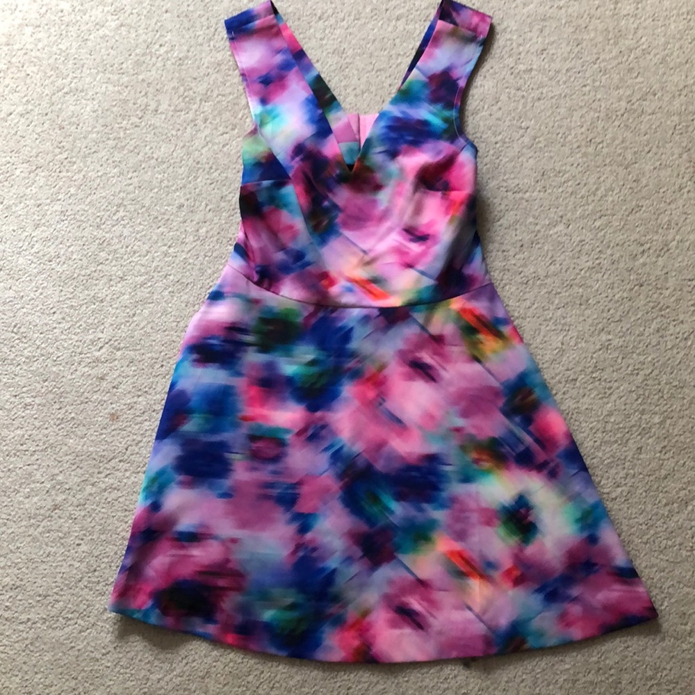 Felicity and Coco Party Dress